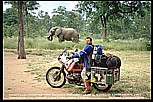 1991_Zimbabwe_close to the border to Zambia_my "3 elephants"-photo: elephant, motorbike, Jochen_what an experience, what a feeling!_my motorcycle-trip 1990-91 Nairobi-Capetown_Jochen A. Hbener